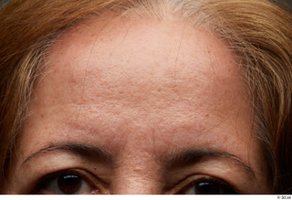 HD Face Skin Laura Tassis eyebrow face forehead hair skin…